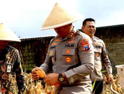 Polres Malang Panen Raya Jagung Dukung Ketahanan Pangan Nasional