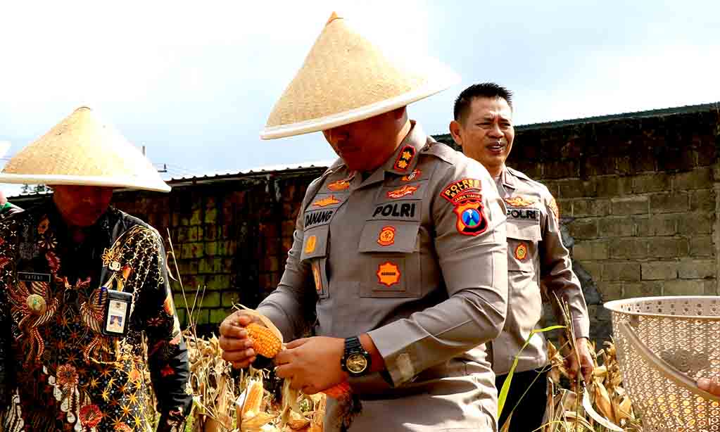 Polres malang panen raya jagung dukung ketahanan pangan nasional