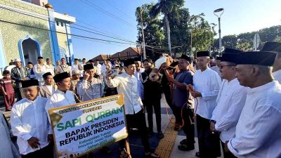 Presiden prabowo sumbang sapi kurban 2
