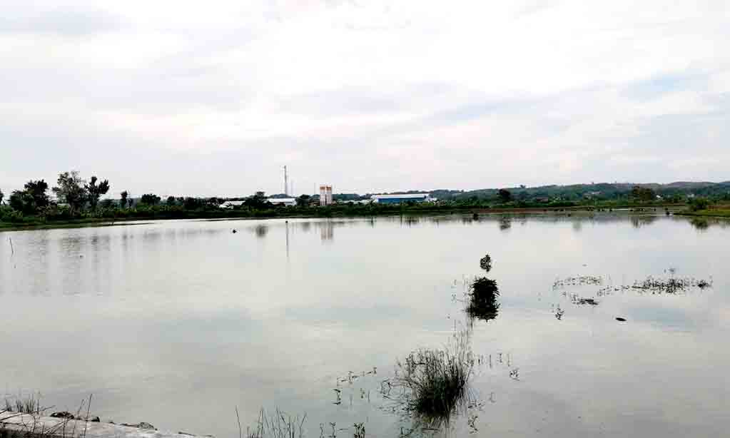 Sambut suran agung, paguyupan pencak silat ngawi gelar deklarasi damai 2