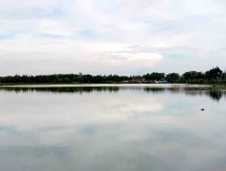 Banjir Musiman di Dusun Tlebung: Petani Merugi, Solusi Ditunggu