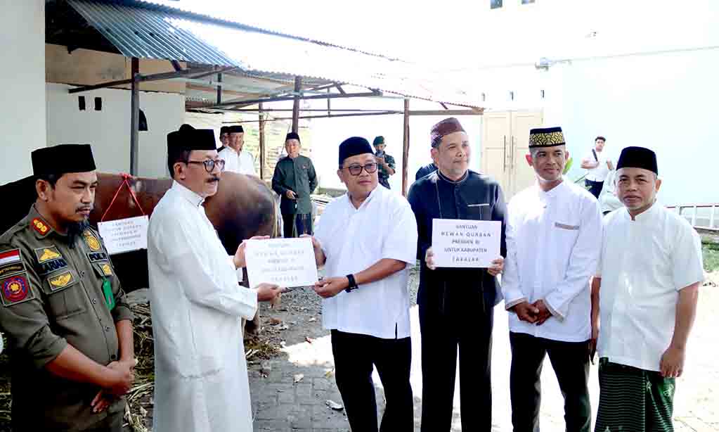 Takalar terpilih sebagai penerima bantuan sapi kurban presiden