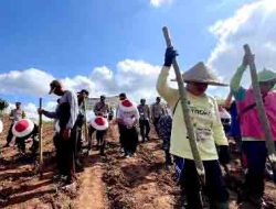 Polresta Banyuwangi Tanam Jagung Serentak, Dukung Ketahanan Pangan Nasional dan Asta Cita Presiden