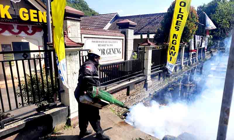 Antisipasi demam berdarah 2