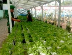 Dandim 1426/Takalar: TNI Harus Jadi Contoh, Tanam Sayur dan Ikan di Kantor Demi Ketahanan Pangan