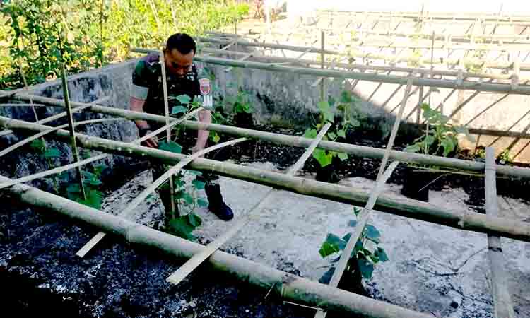 Dandim 1426 takalar tegaskan peran babinsa