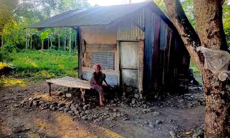Di ujung senja, nenek cele