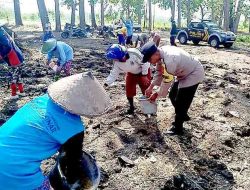 Dukung Ketahanan Pangan di Ngawi, Polsek Pitu Tanam Jagung di Lahan Kehutanan Sosial