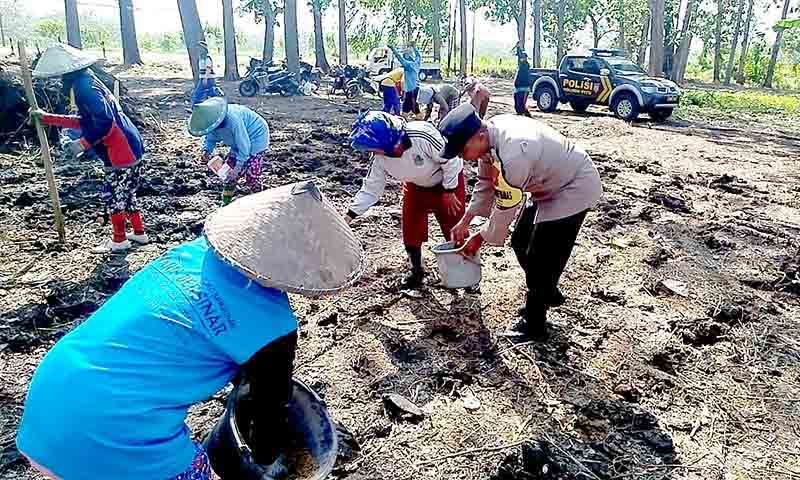 Dukung ketahanan pangan di ngawi