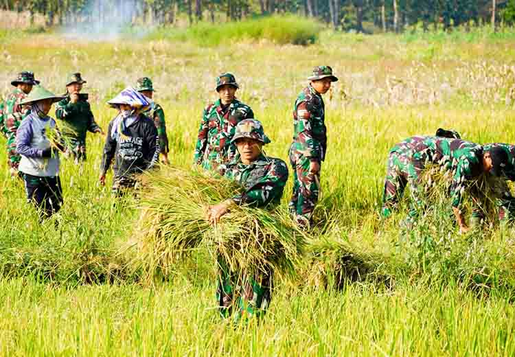 Dukung program ketahanan pangan, satgas tmmd 125 bojonegoro