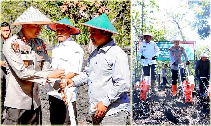 Dukung swasembada pangan 2025, polres bersama forkopimda ngawi tanam jagung