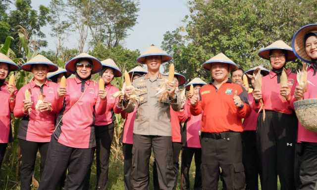 Img 20250709 wa0037 copy 1280x768