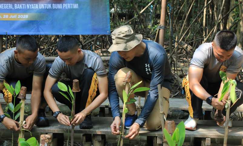 Img 20250728 wa0049 copy 3211x1927