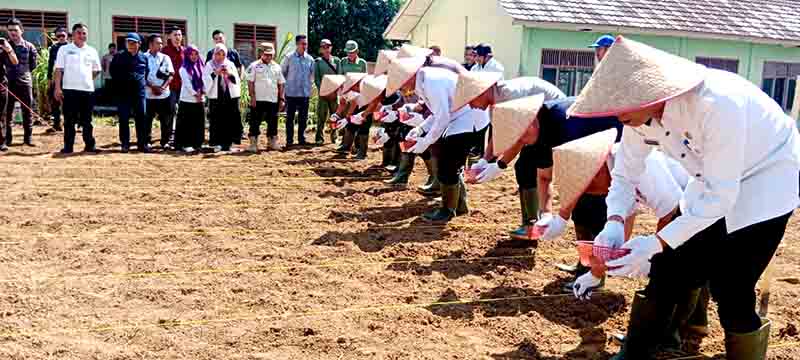 Kejari mesuji motori gerakan tanam jagung