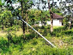 Dua Lampu PJU Solar Cell Ambruk di Banjarrejo, Diduga Pondasi Tak Sesuai Konstruksi, Warga Minta Pemerintah Bertindak