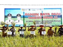 Panen Raya Kedua di Lamongan Catat Harga Gabah Tertinggi, Bupati Optimis Capai Swasembada Pangan