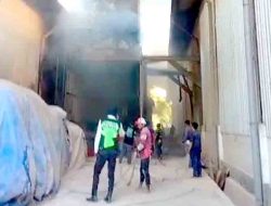 Peristiwa Kebakaran di PT Dewata Industrindo Forestry Lamongan: Dugaan Pelanggaran K3 Mencuat