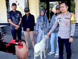Polres Bondowoso Amankan Tersangka Curwan, Barang Bukti Kambing Diserahkan Kembali ke Pemilik