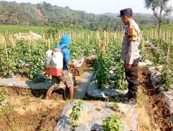 Bhabinkamtibmas Desa Kuniran Dorong Warga Sukseskan Program Ketahanan Pangan