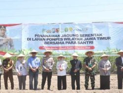 Santri Gontor 3 Tanam Jagung, Pemkab dan Polres Kediri Dukung Kemandirian Pangan