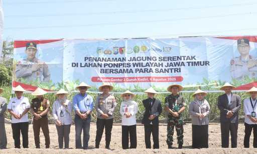 Img 20250807 wa0016 copy 1024x614