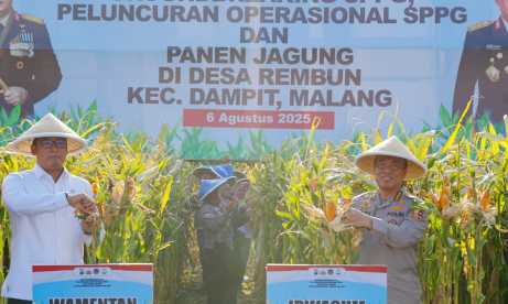 Img 20250807 wa0028 copy 922x552