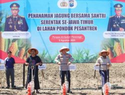 Program Penanaman Jagung Bersama Santri : Polres Ponorogo Gandeng 42 Ponpes Siapkan 71,4 Hektare Lahan