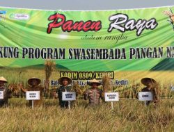 Kodim 0809/Kediri bersama Pemda Gelar Panen Raya Dukung Swasembada Pangan Nasional