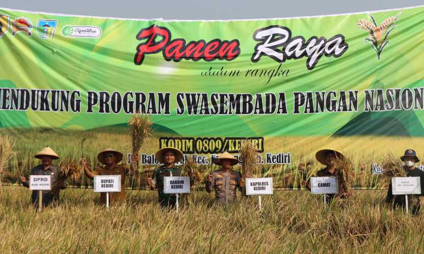 Img 20250812 wa0047 copy 3328x1996