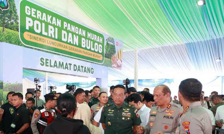 Img 20250815 wa0015 copy 3082x1849