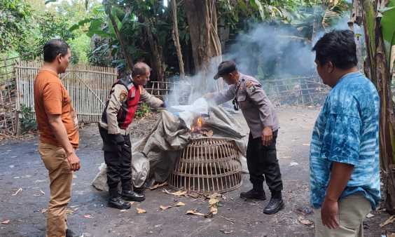 Img 20250819 wa0003 copy 1127x676