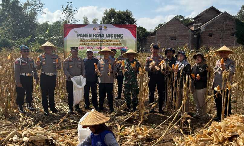 Img 20250819 wa0022 copy 3226x1936