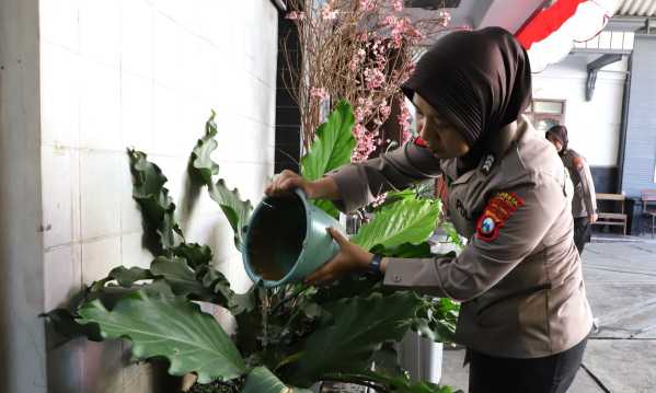 Img 20250821 wa0018 copy 1198x718