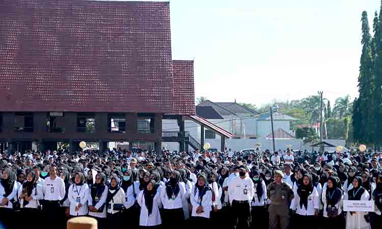 Kabar baik! 3.962 tenaga non asn takalar diusulkan jadi pppk