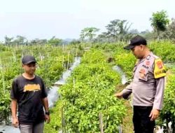 Polisi Ngawi Gelar Patroli P2B di Sine, Dukung Ketahanan Pangan Nasional