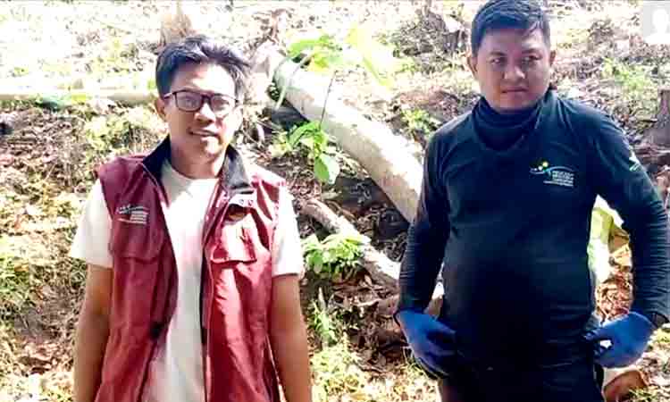 Di ujung jalan sunyi