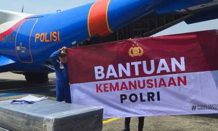 Img 20250916 wa0019 copy 877x527