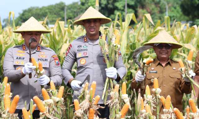 Img 20250917 wa0032 copy 1280x768