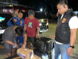 Polisi Airud Gagalkan Pengiriman 50 Ribu Benih Lobster Ilegal di Cianjur, Negara Berpotensi Rugi Rp7,5 Miliar