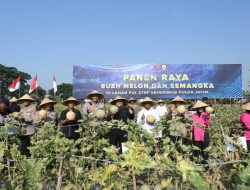 Brimob Polda Jatim Panen Melon dan Semangka, Dukung Program Ketahanan Pangan Nasional