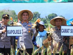 Dukung Asta Cita Presiden RI, Polres Ngawi Panen Raya Jagung di Desa Hargosari
