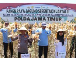 Komitmen Wujudkan Ketahanan Pangan Nasional, Kapolda Jatim Bersama Forkopimda Banyuwangi Gelar Panen Jagung Serentak 1.446 Ton