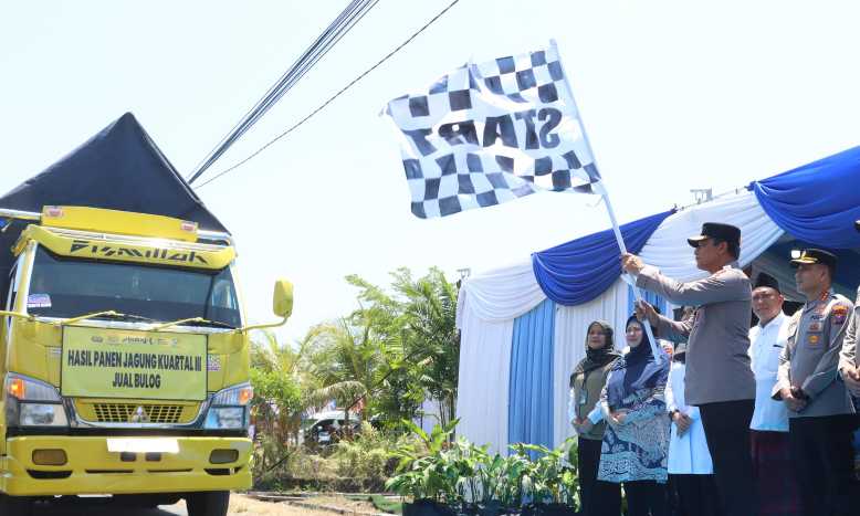 Img 20250928 wa0031 copy 3112x1867