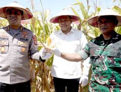 Panen Raya Jagung di Sidoarjo: Bukti Sinergi Pemerintah Daerah dan Polri Dukung Ketahanan Pangan Nasional