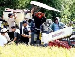 Krisis Irigasi Teratasi, Petani Bakung Temenggungan Gelar Syukuran Panen