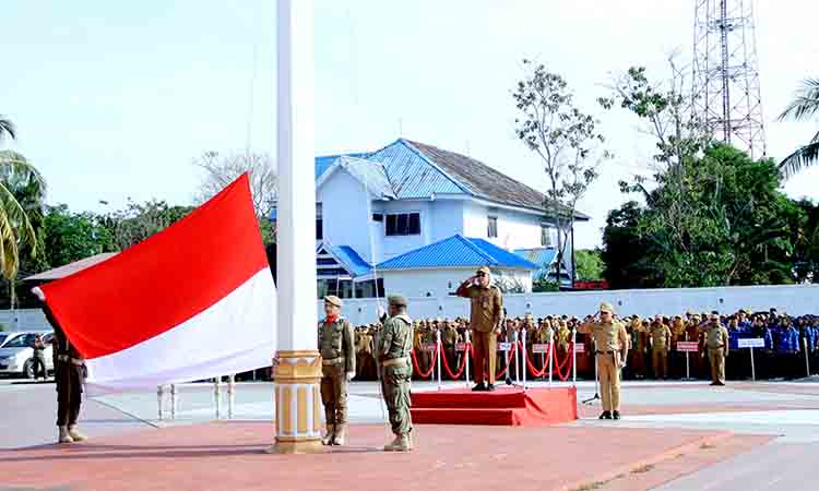 Wakil bupati takalar pimpin upacara puncak haornas 2025