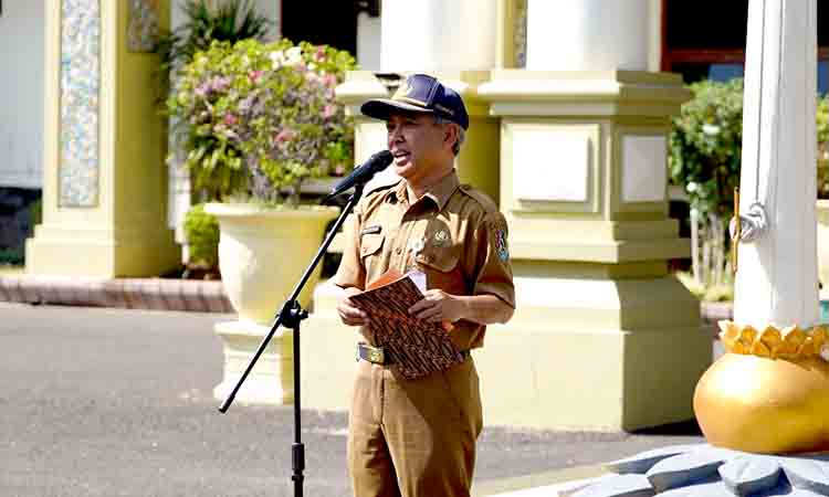 Whatsapp image 2025 09 15 at 13.21.08