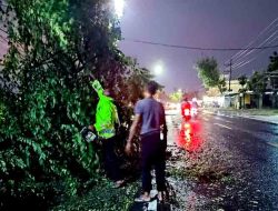 Cegah Laka Lantas, Polsek Ngawi Kota Tebang Pohon yang Bahayakan Pengguna Jalan