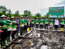 Dukung Program Prabowo, Kelompok Tani Siaboy Makmur Pimpin Cetak Sawah 202 Hektar Pertama di Tarakan