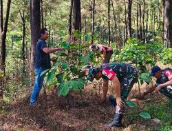 Dua Tahun Berlalu, Kondisi Terkini Lokasi Kebakaran Hebat di Gunung Lawu